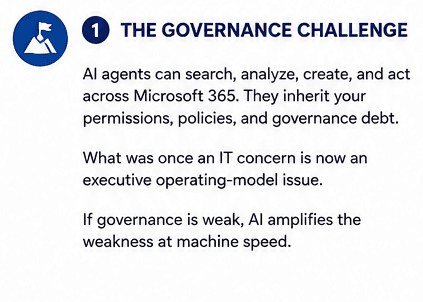 The Governance Challenge.png